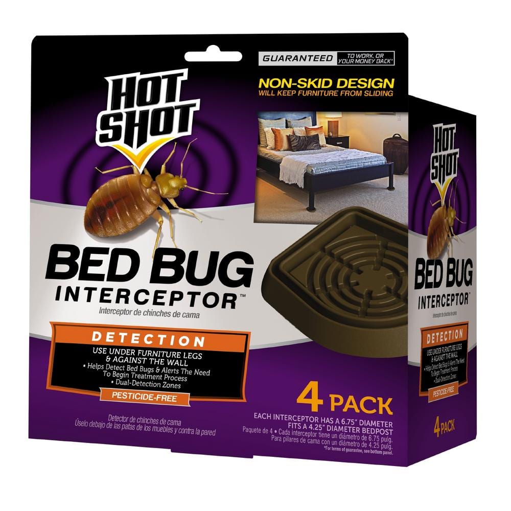 The Top Myths About Bed Bug Pest Control
